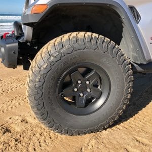 AEV JL PINTLER WHEEL